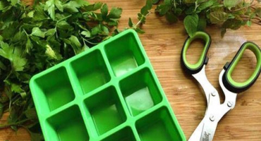 Nejjednodušší způsoby, jak zmrazit petržel na zimu v chladničce